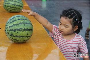 吃瓜比赛技巧,揭秘吃瓜比赛的五大绝技